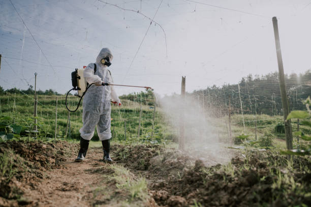 Best Best Pest Control Companies  in Benton Park, CA