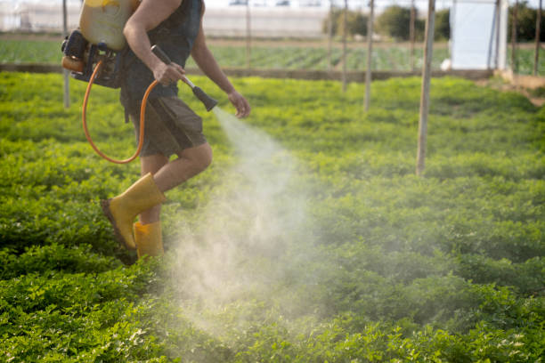 Best Exterminator Services  in Benton Park, CA