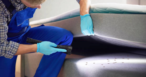 Best Termite Control Services  in Benton Park, CA